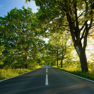 胖子男和胖熊Gay片
